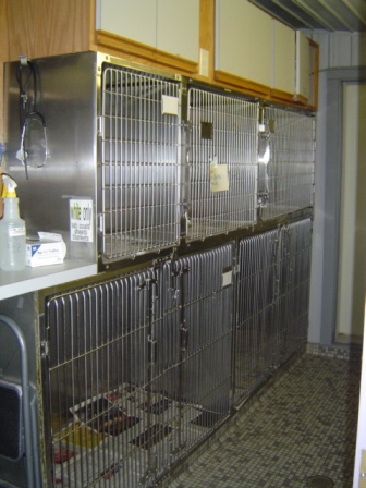 Isolation Ward